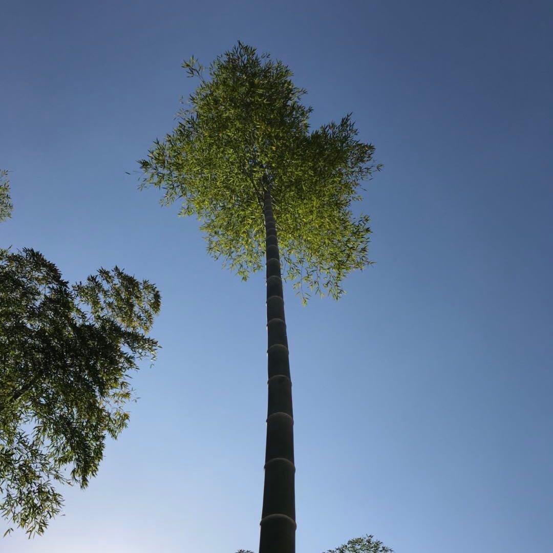 德清 莫干空调哥.安防监控 🛜网络系统