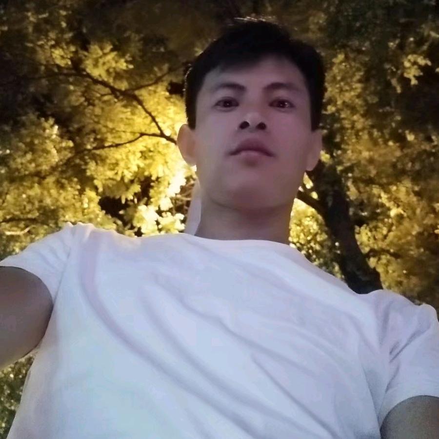 孤战友情