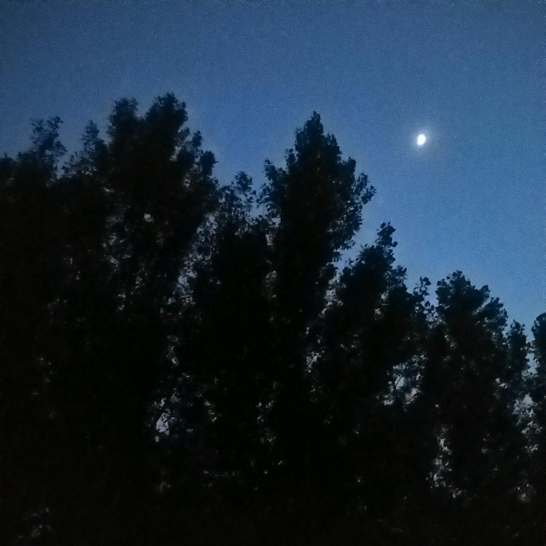 晨旭朝阳