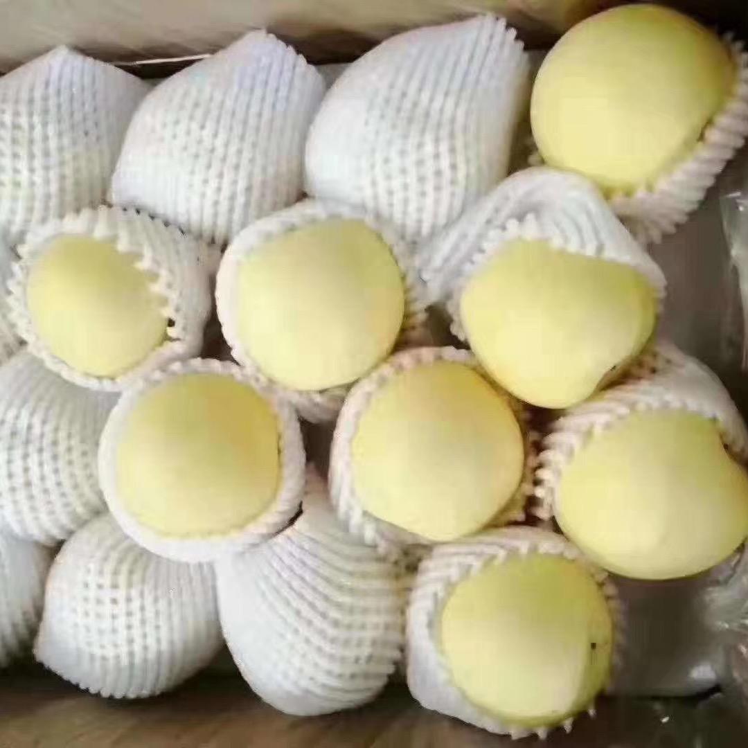 河北丰源果品