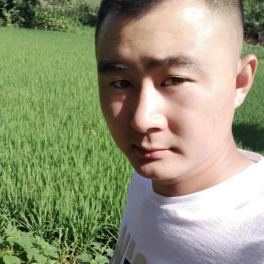 往事随风
