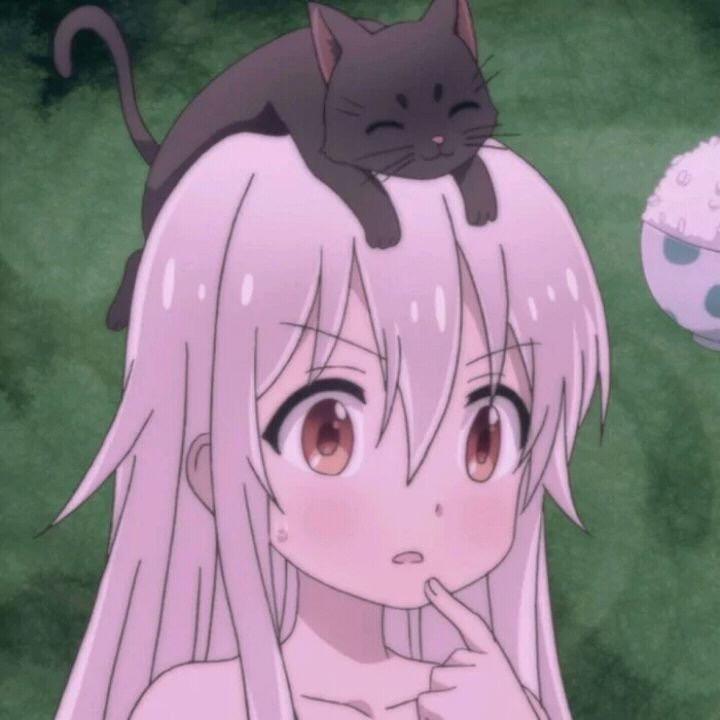 莎莎猪