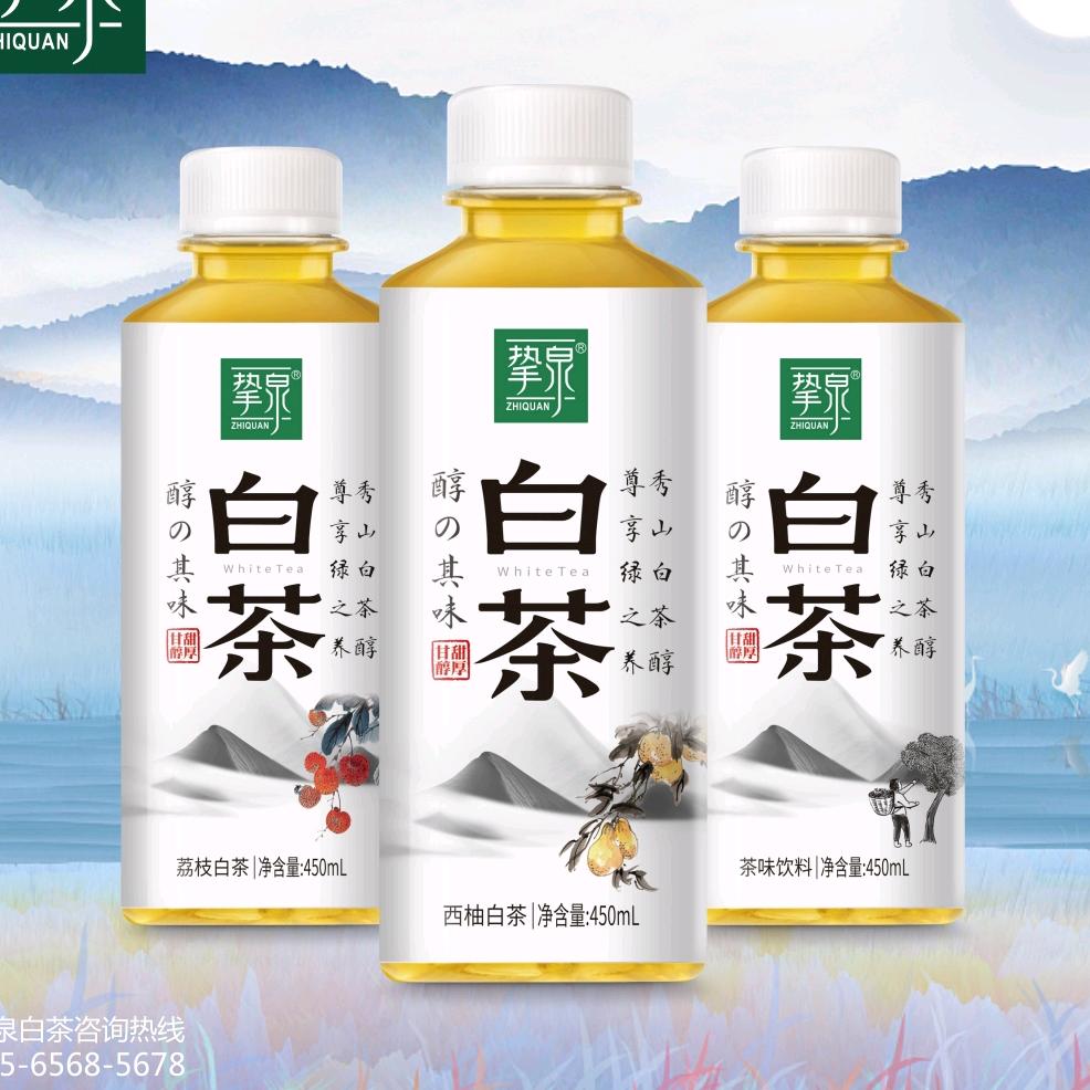 挚泉哥