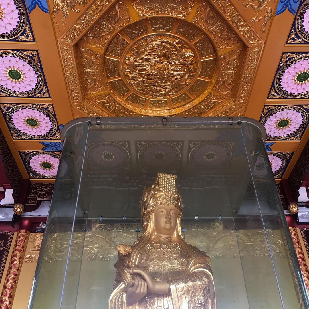 重生寻路之山海丰盆景