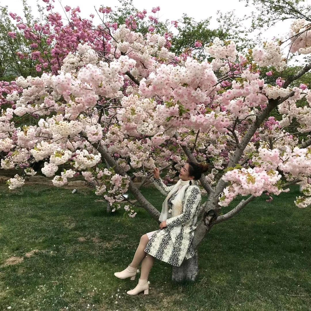 梦梦