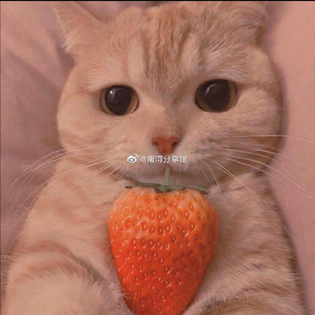 ni好💅