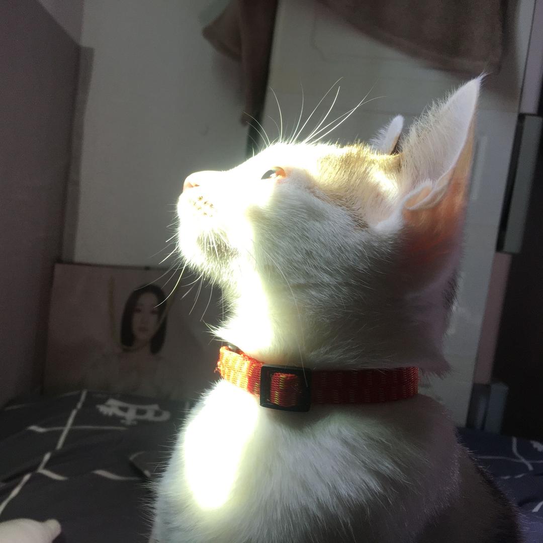 🌈🌈肖肖