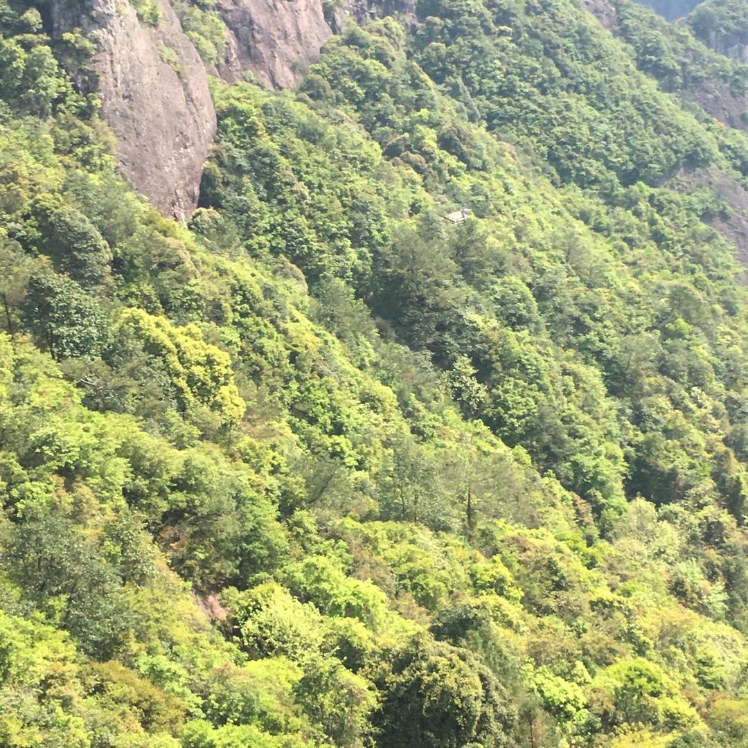 小柠檬巜厨窗有货欢迎大家光临》