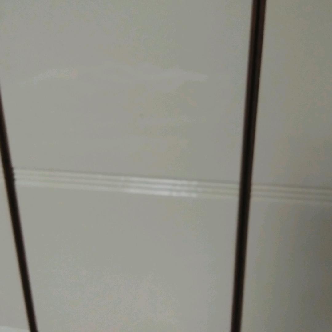 说