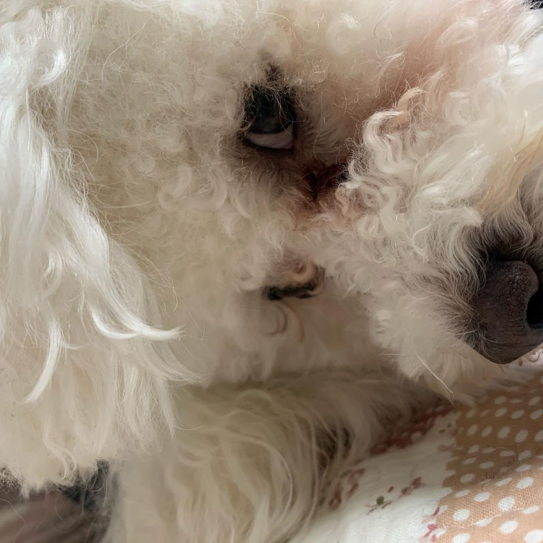 重生之我在小学门口卖辣条