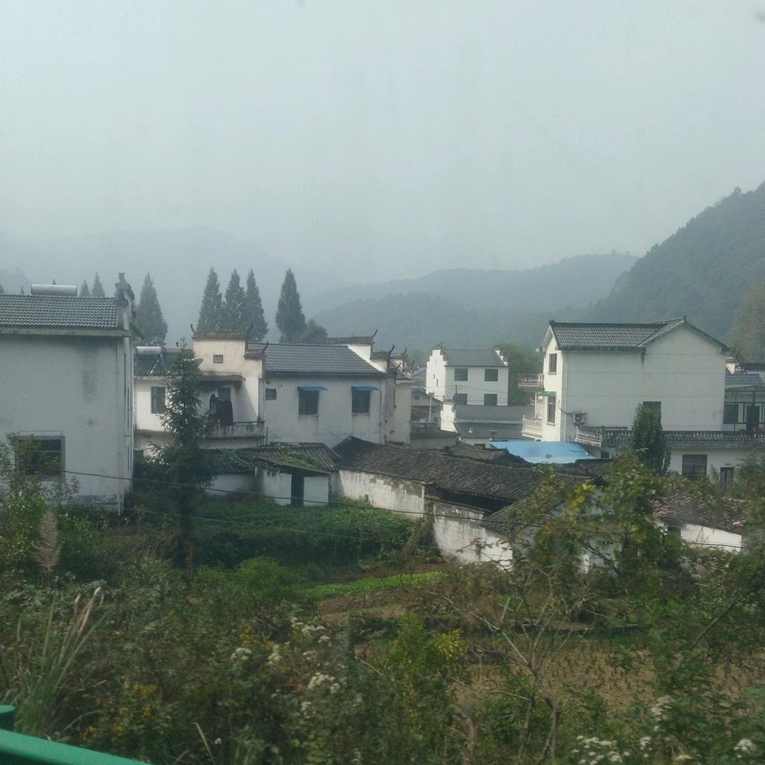 不透露姓名的网友