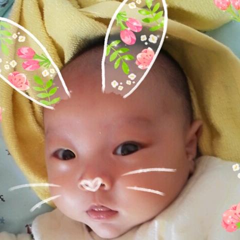 👉伟大大伟👈