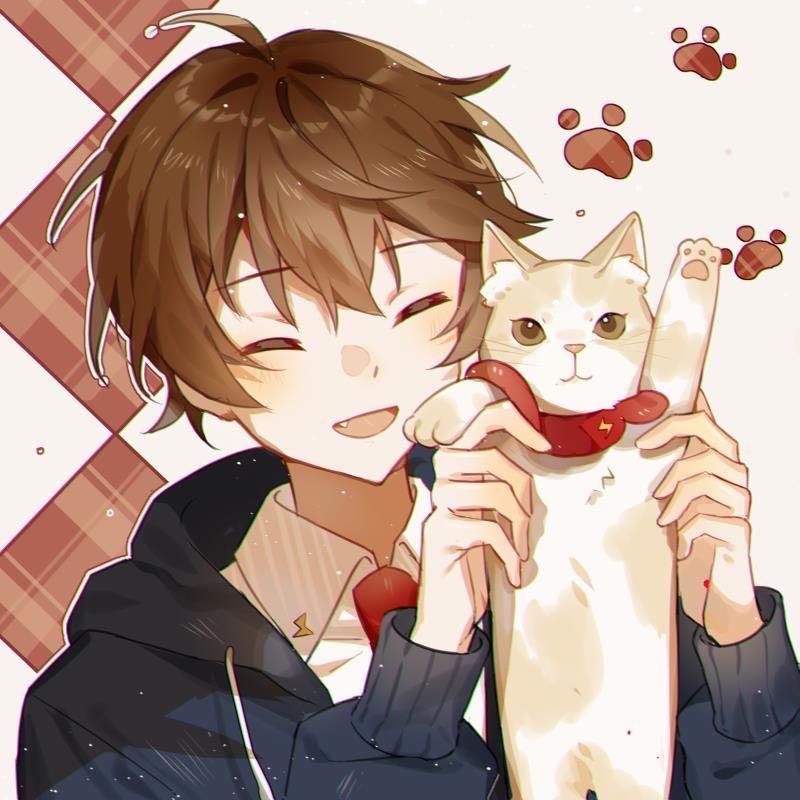 航三岁有4只猫@抖音