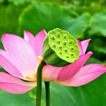 吉星高“赵”💞