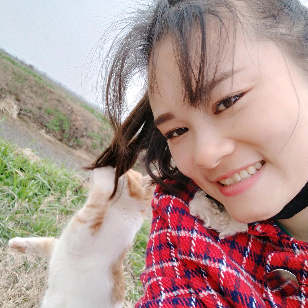 燕子宝宝