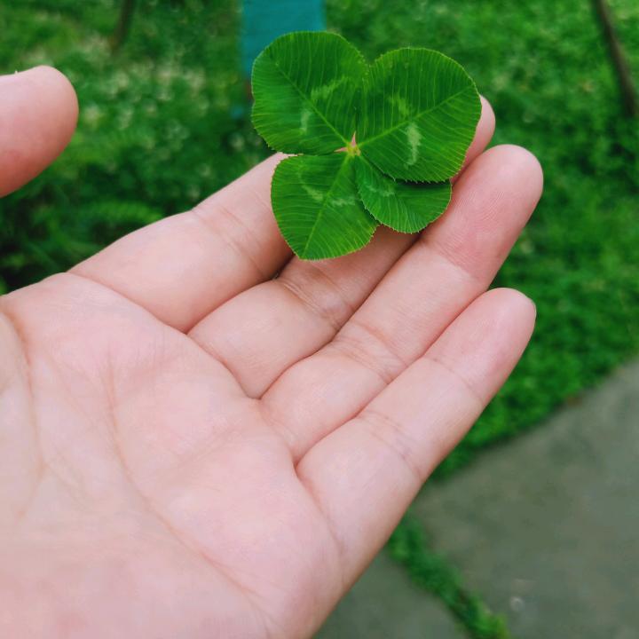 🐲过好每一天💋💋💋