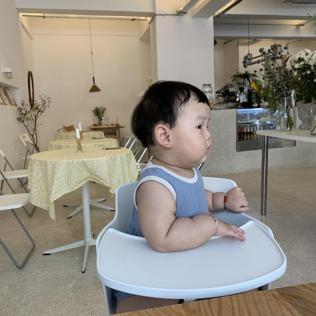 丁丁的小六宝🦕