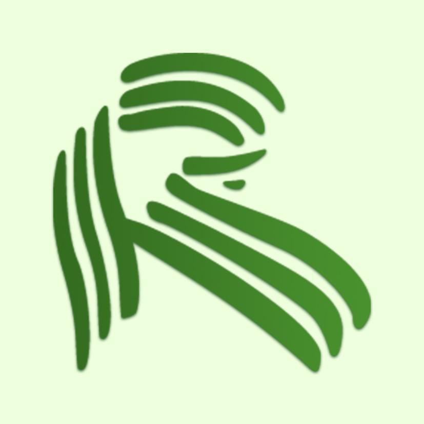 莱茵春天教育
