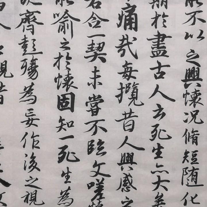 糊涂龙992020