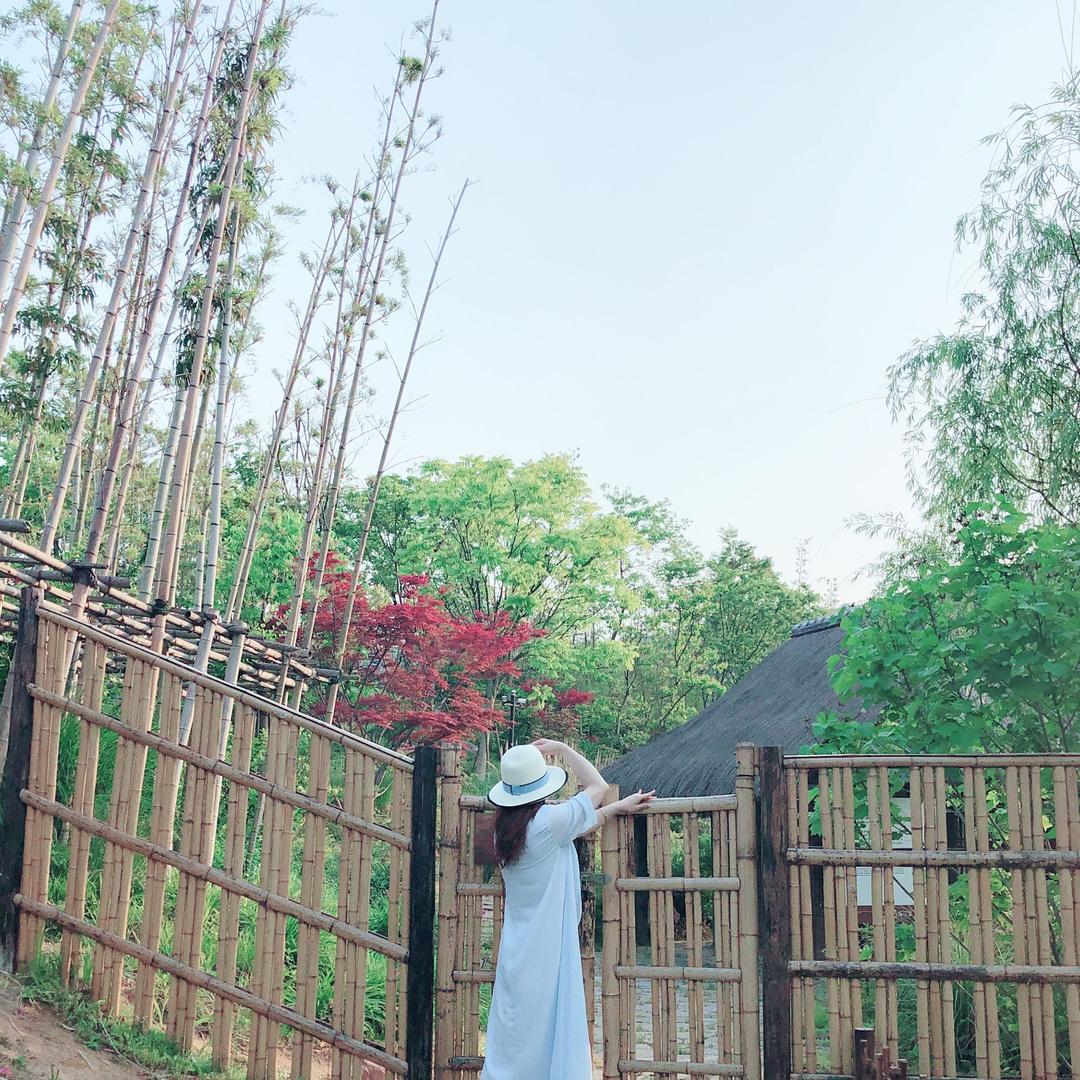 岁月如歌
