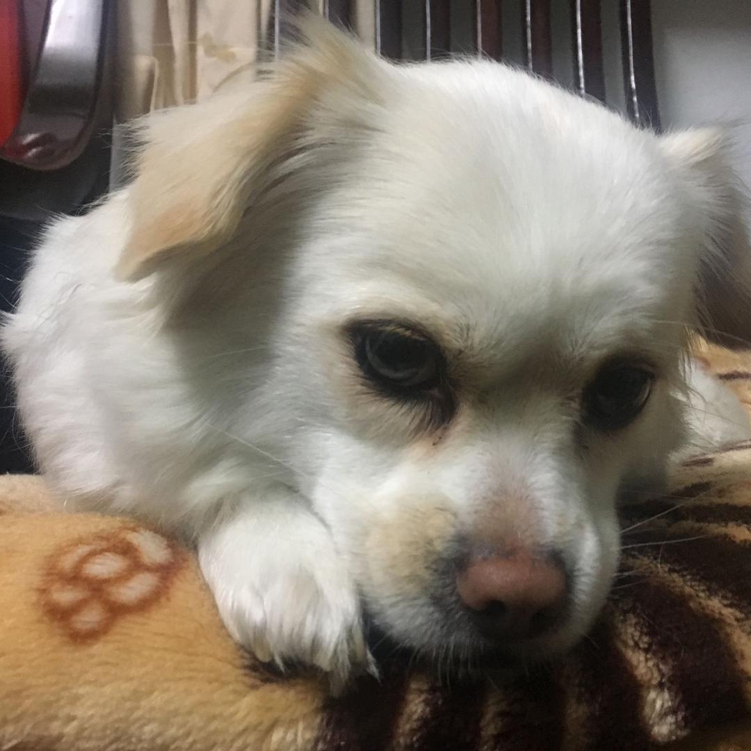 烈烈