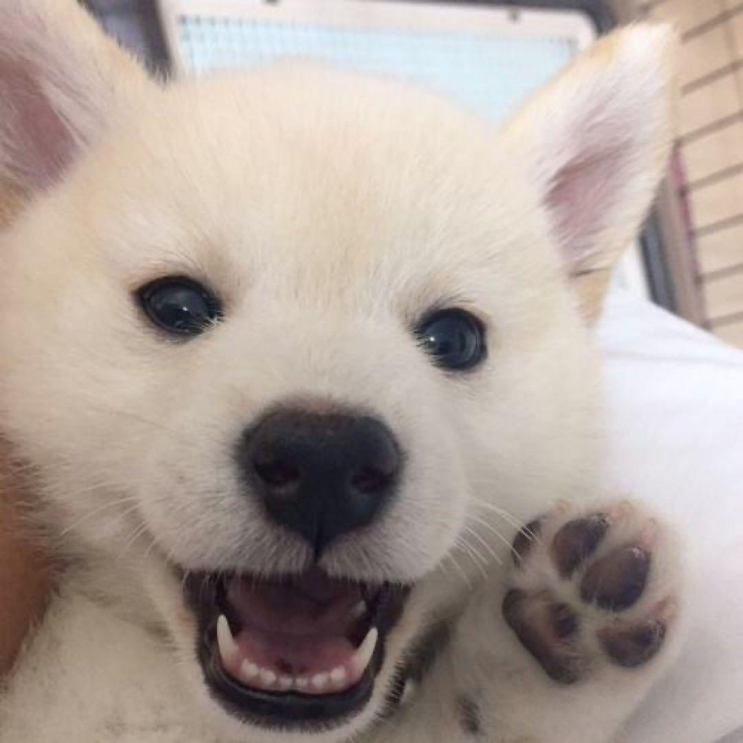 Lun