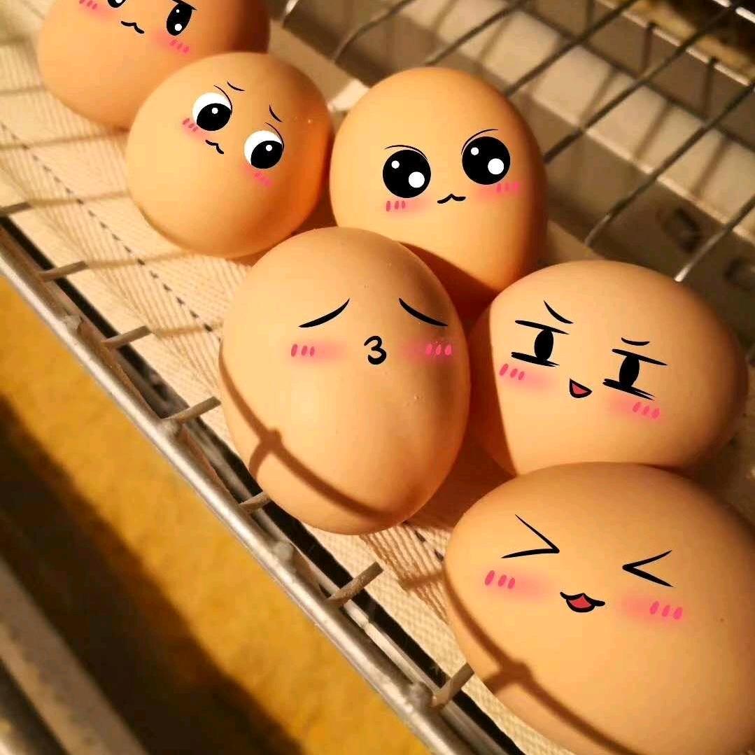 甩出个性