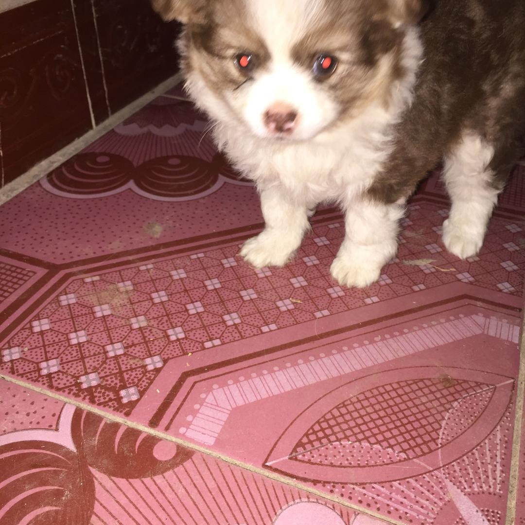 向前看