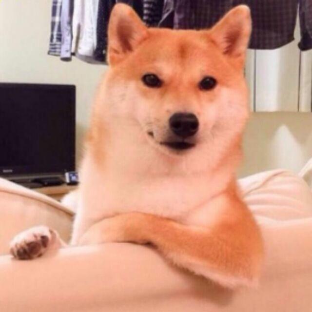 王者情歌