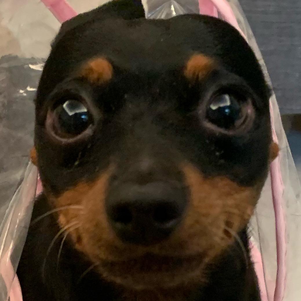 露珠🧸