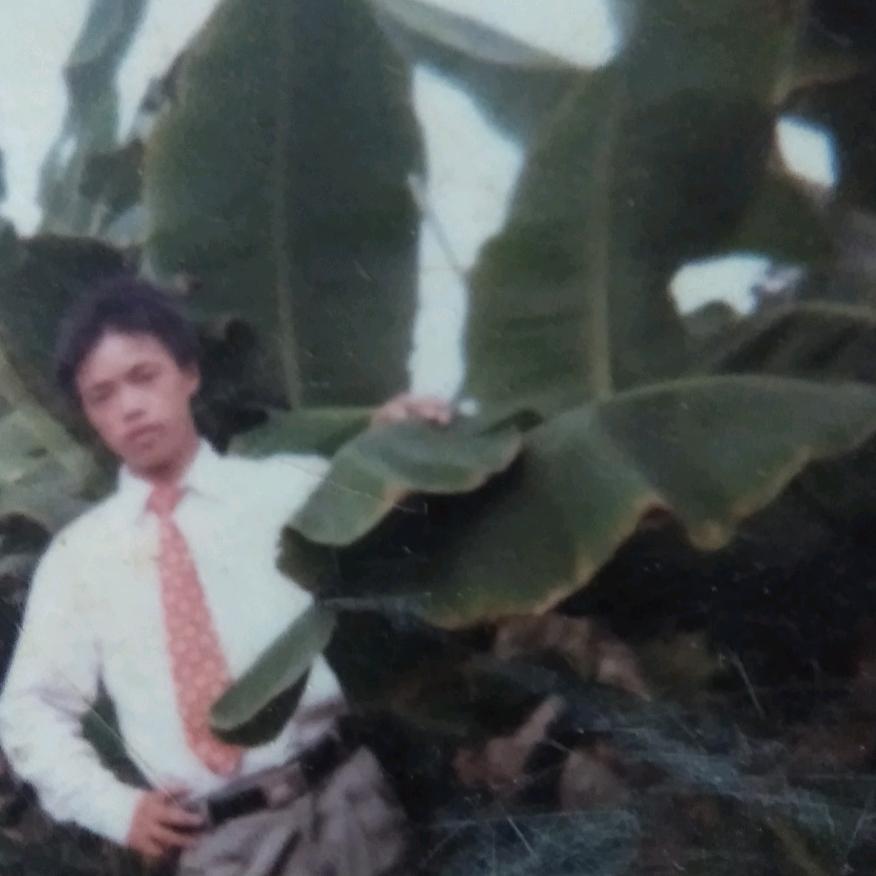 尹你停刘