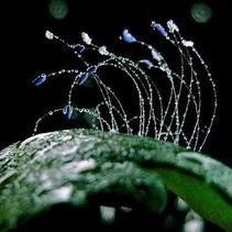 张轩硕饰品精选