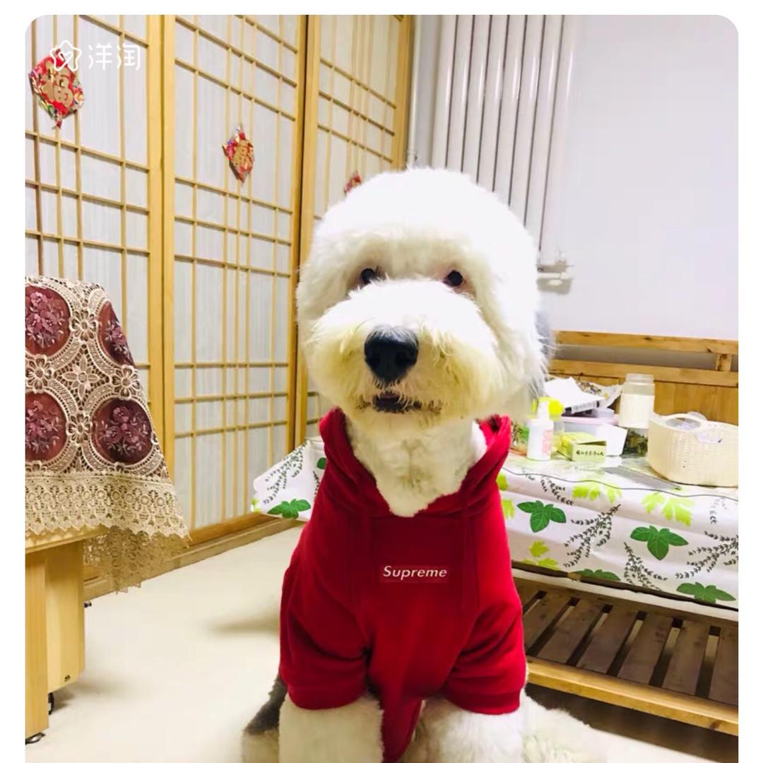 奋斗的兰