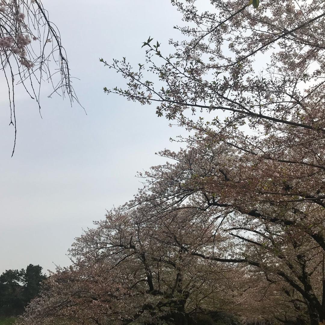 假面人58