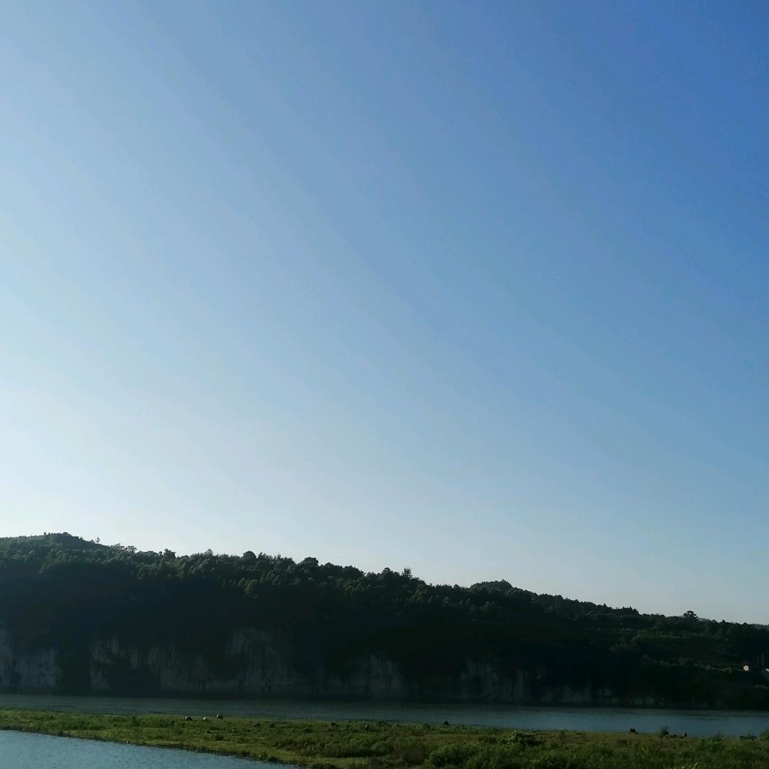 小丫儿
