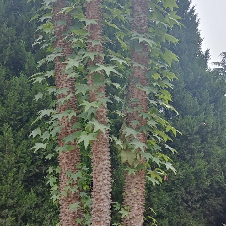 赏南山之菊，看泾水之波