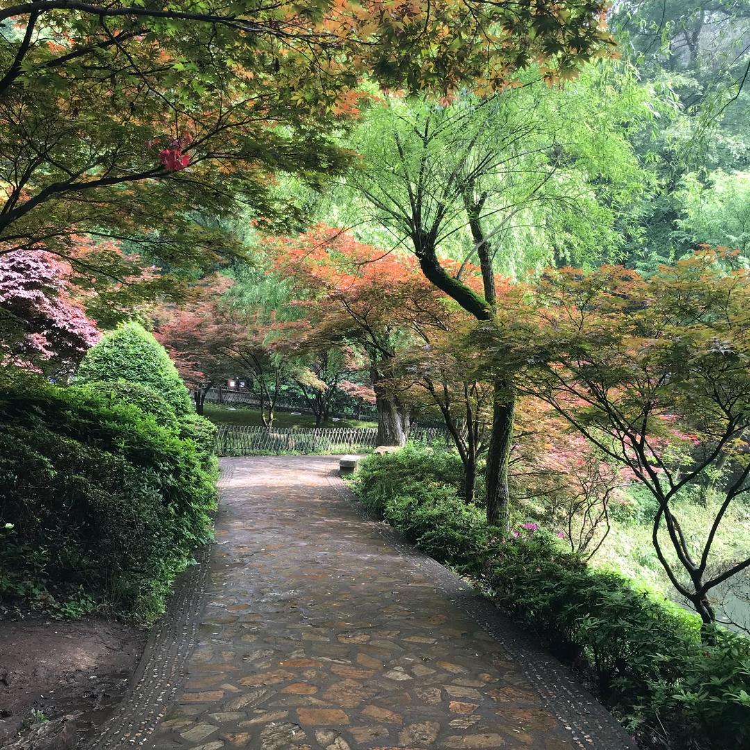 丫头