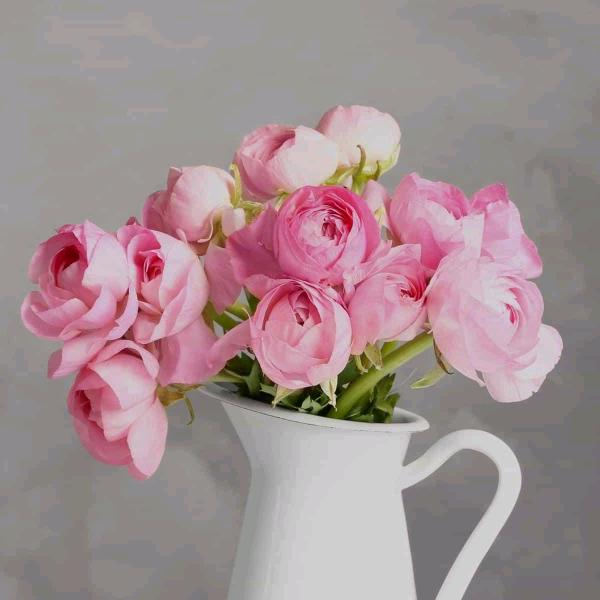 冯彩花
