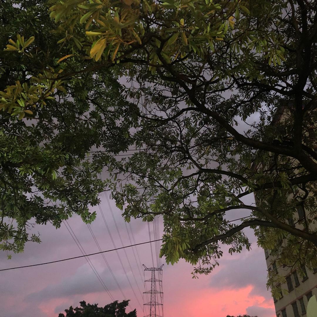 努力努力再努力