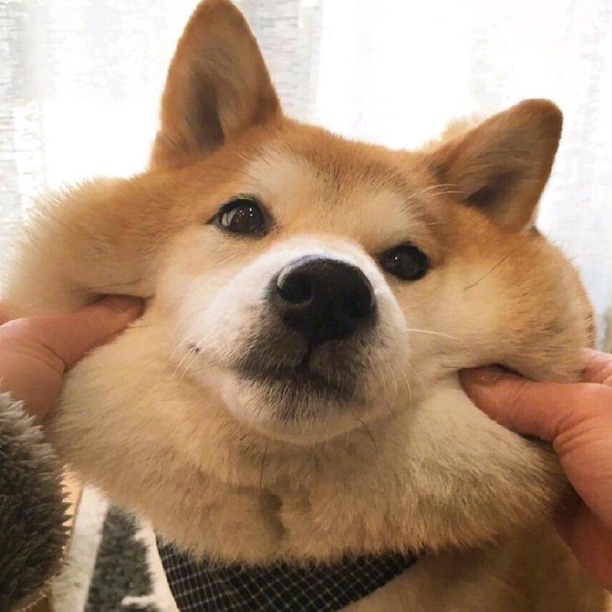 小栗老板
