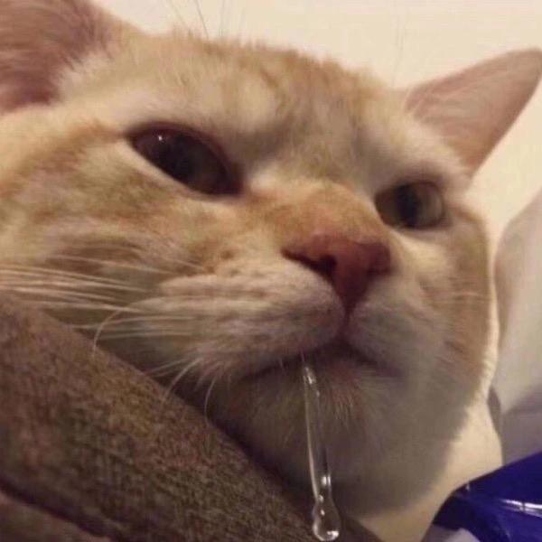 赵完松