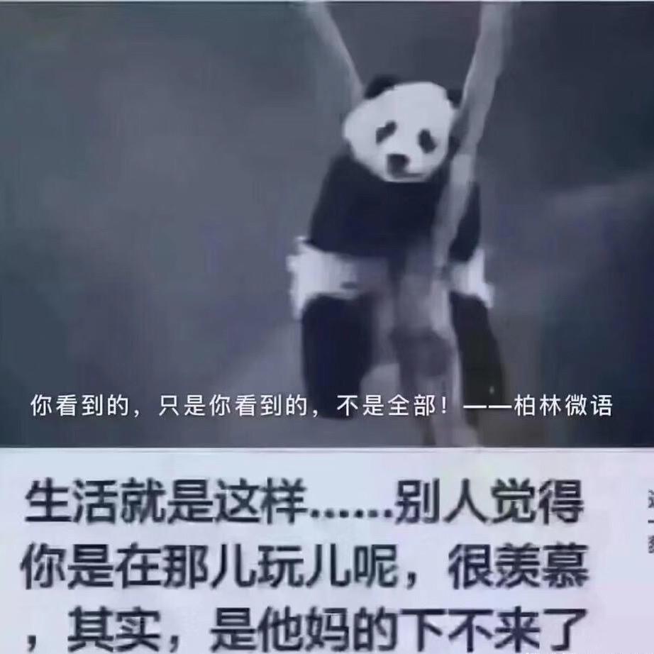 方向盘盘