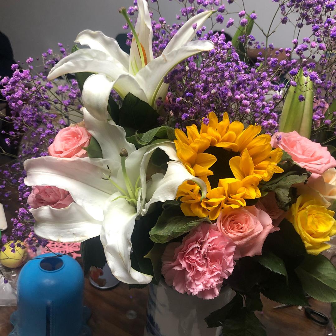 🌈🌈🌈🌈🌈🌈🌈🌈HHR