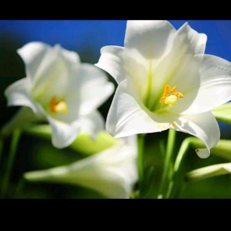 删除不喜欢的记忆