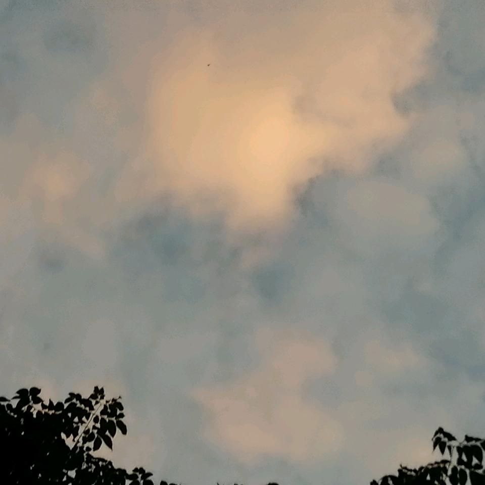 简简单单