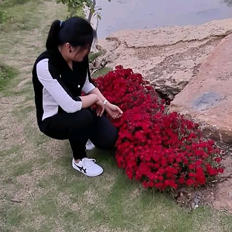 叫我静哥