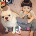 Dummer. ゛浅时光