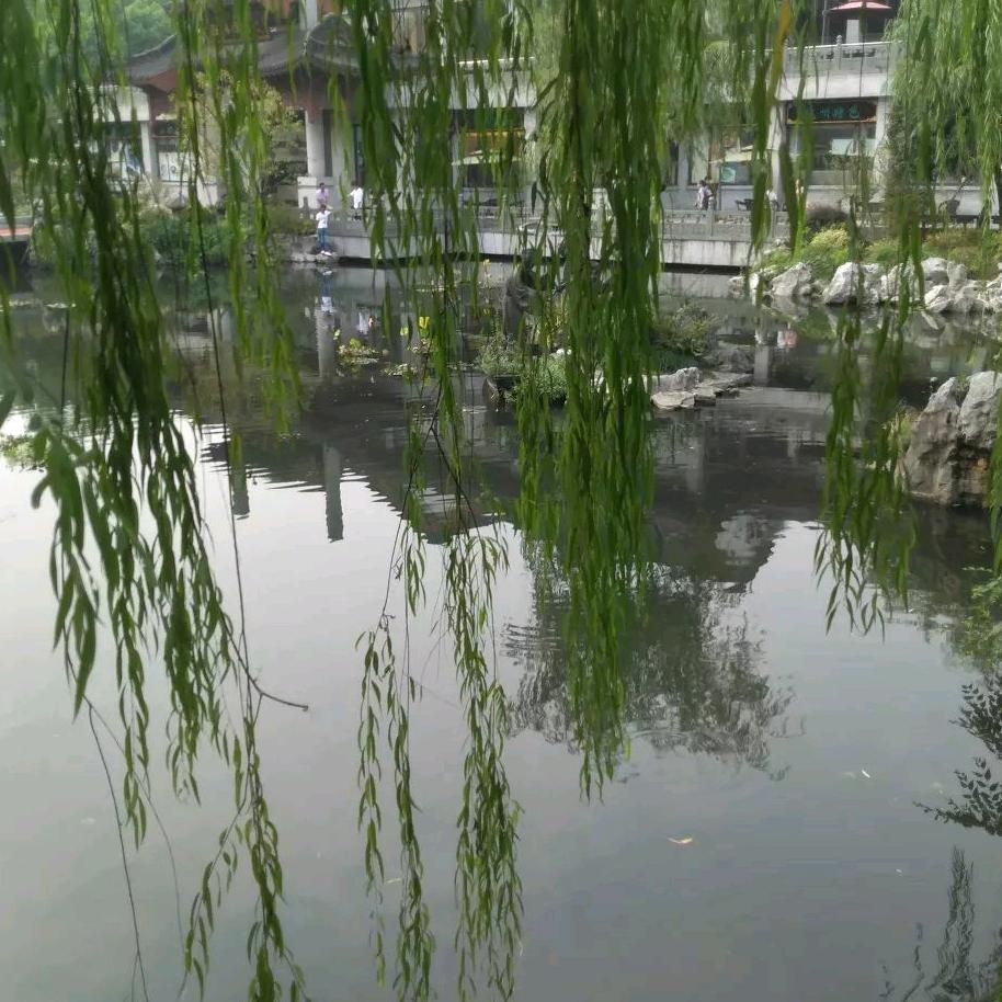 心在跳