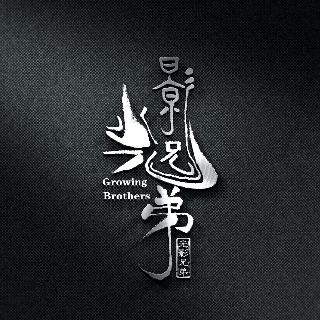 成都光影兄弟影视文化创意机构