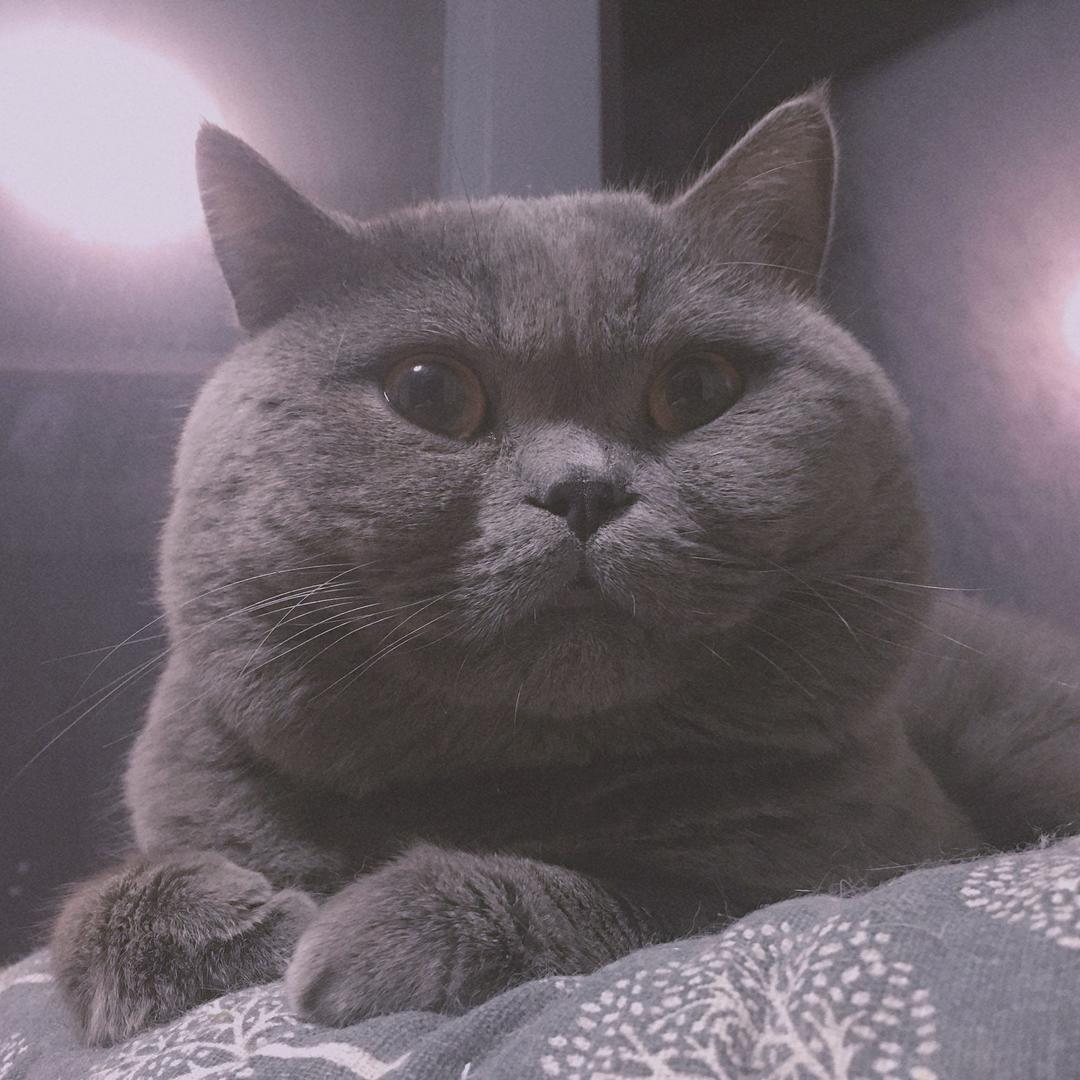 差点长成美女